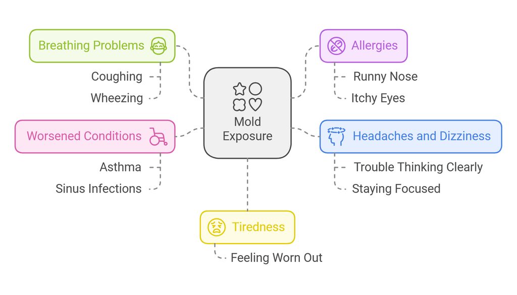 common symptoms of mold exposure