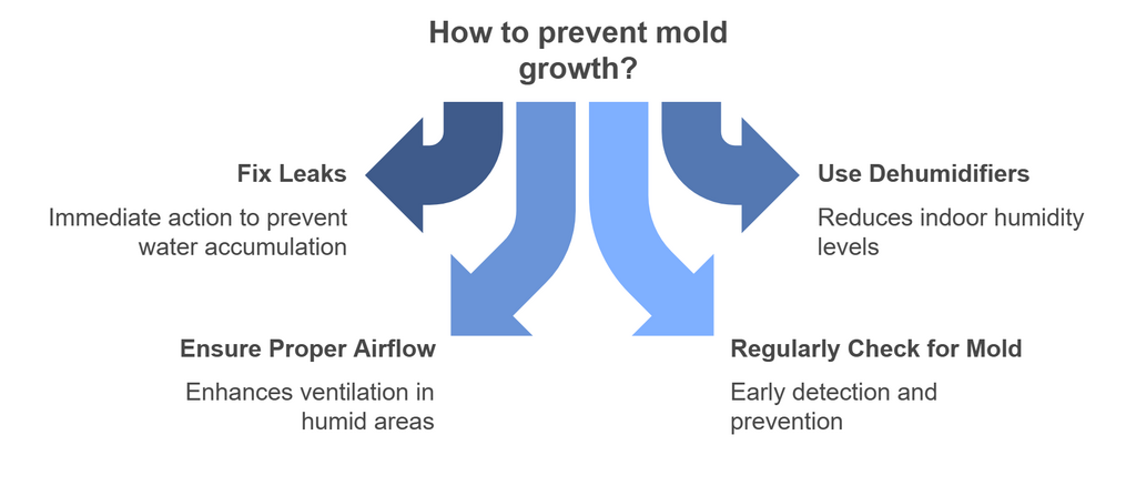 what causes mold and how to stop it